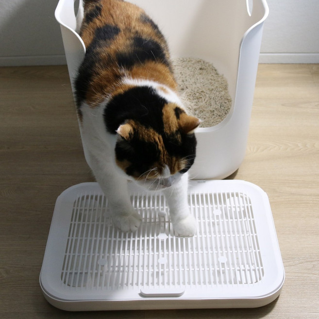 드림계곡 고양이 화장실매트 사막화방지 모래 발판, 1개, 화이트