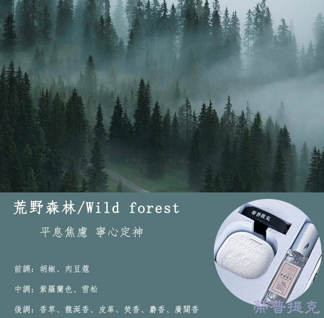 車用擴香石 月夜沙丘, 1個, 荒野森林（原始氣息）