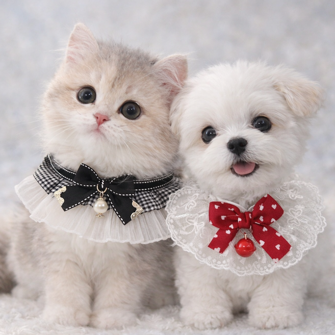 멍담 강아지 고양이 레이스 케이프 2종세트 스카프, 1세트, 레드 + 블랙