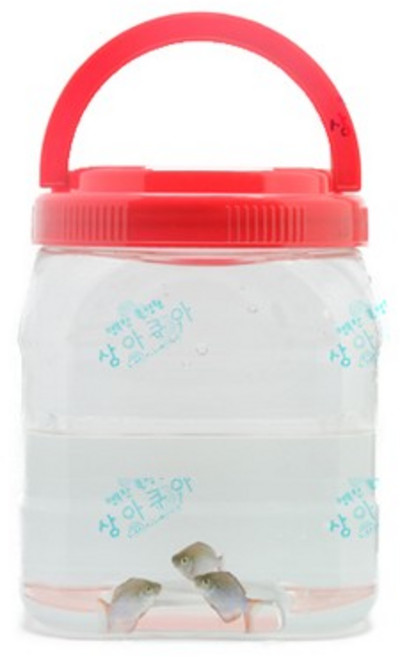 다기능 보관통 [소], 1개