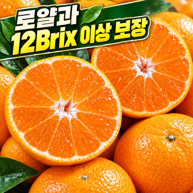 고당도 12brix 제주 타이벡 감귤, 1박스, 3kg (로얄과)