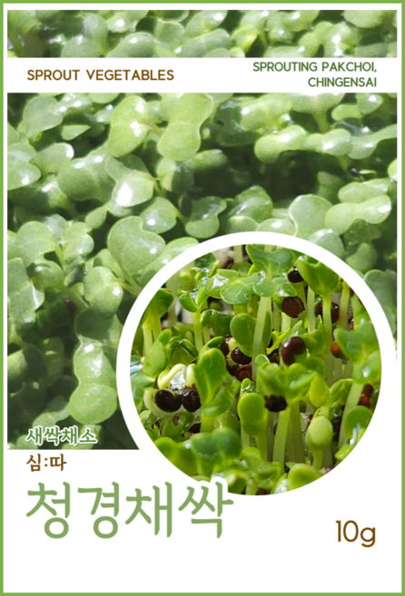 새싹채소씨앗 모음, 04. 새싹 청경채 씨앗 10g, 1개