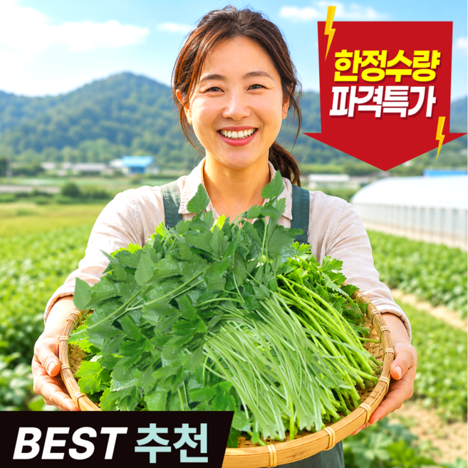 [당일수확] 우수농가 향긋한 국내산 참나물, 1개, 4kg