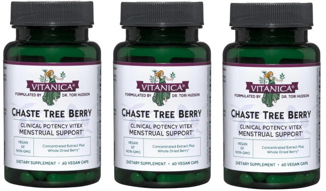 (2주문시+1)식물성 pms영양제 천연 여성호르몬 생리통완화 생리불순영양제 바이텍스 체이스트트리 240mg 60캡슐, 1개, 60정