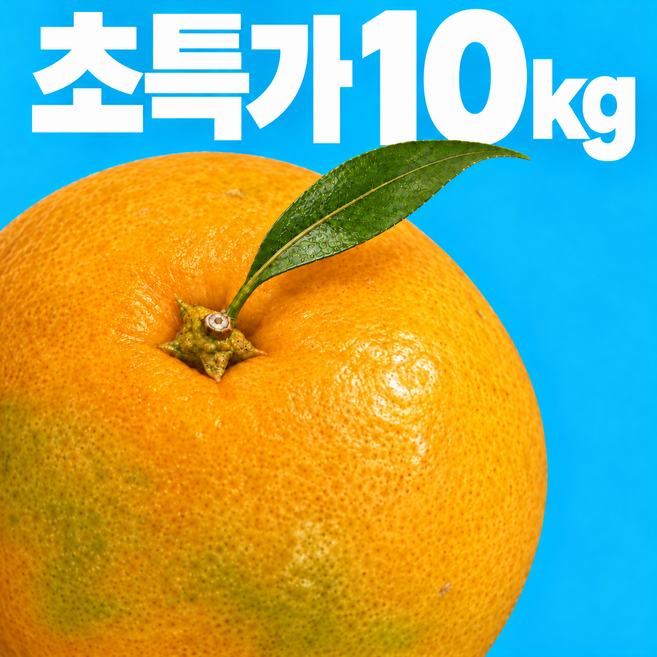 [재구매1위] 제주 감귤 가성비 초특가, 1박스, 10kg