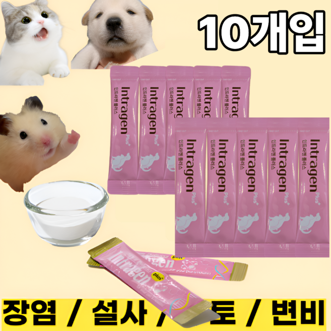 [인트라젠] 장염 설사 구토 변비 면역력강화 유산균 영양제 강아지 고양이 햄스터, 2g, 장건강/유산균, 10개