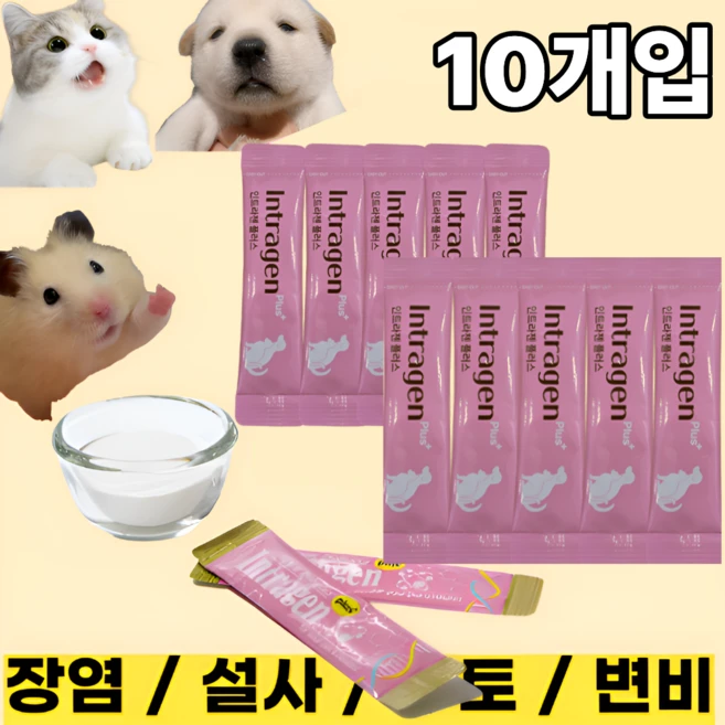 [인트라젠] 장염 설사 구토 변비 면역력강화 유산균 영양제 강아지 고양이 햄스터, 2g, 장건강/유산균, 10개 - 쿠팡