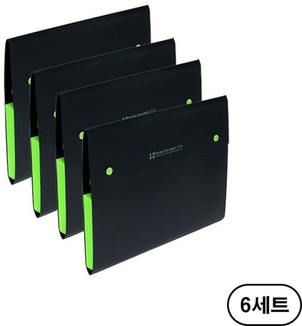 청운 PP 12분류 도큐먼트, 블랙(Black), 24개