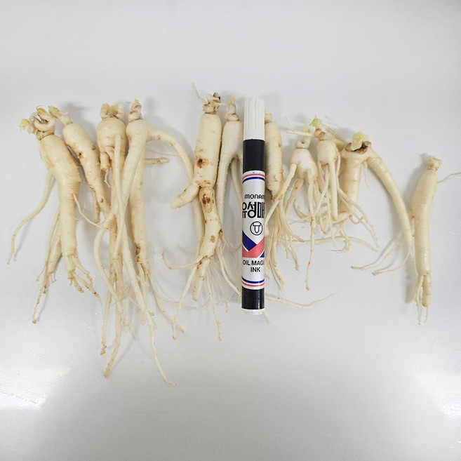 금산인삼 수삼 파삼 무료세척/비세척 1채 750g, 750g(무료고압세척, 약50g감량), 1개