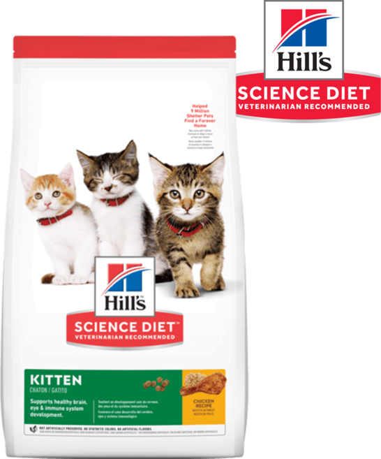 힐스 사료 키튼 치킨 1.6kg, 1개