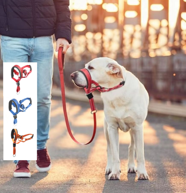 대형견 쉽게 통제 젠틀리더 입마개 (세이프티 스트랩 포함), S(19-24cm/27-33cm), 오렌지