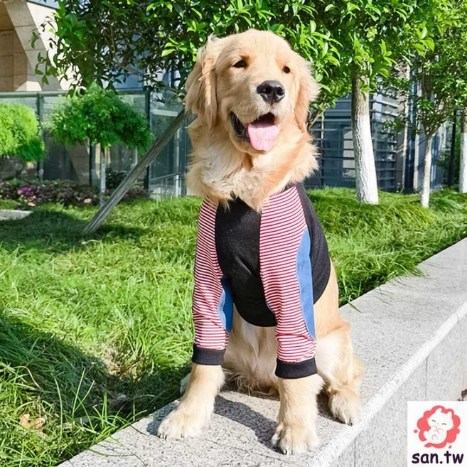 快樂萌寵大狗衣服 夏季薄款 關節防護 中大型犬寵物衣, 黑紅,3XL, 1個