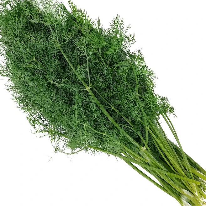 국내산 특품 생허브 딜 100g 향신료 가락시장 당일새벽경매, 허브 딜 100g, 1개 - 쿠팡