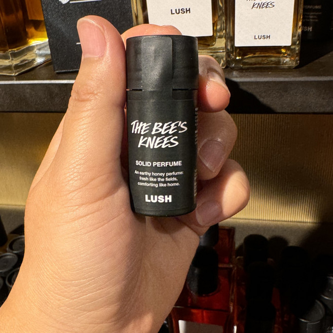 러쉬 고체 향수 더 비스 니즈 솔리드 퍼퓸, 2개, 11g