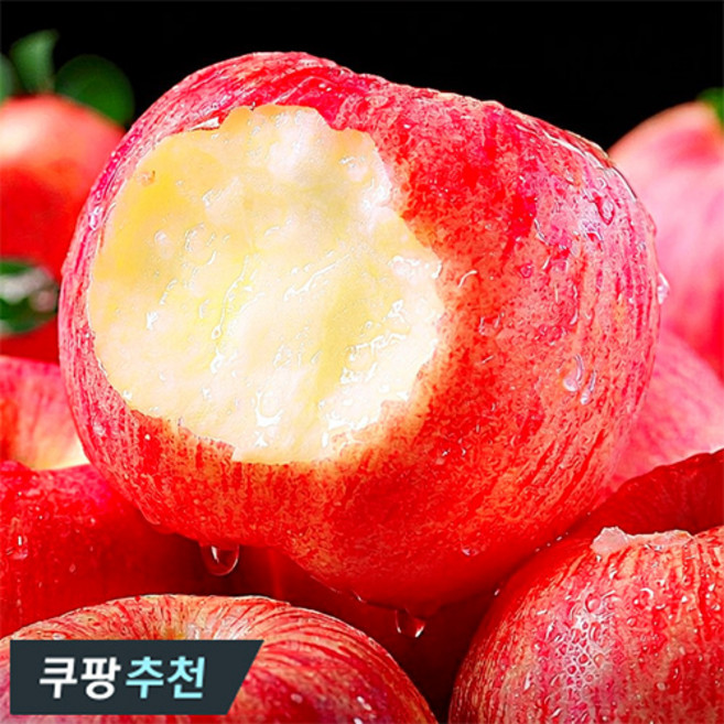 [쿠팡추천] 청송사과축제 1등 백화점납품용 부사사과, 1개, 3KG