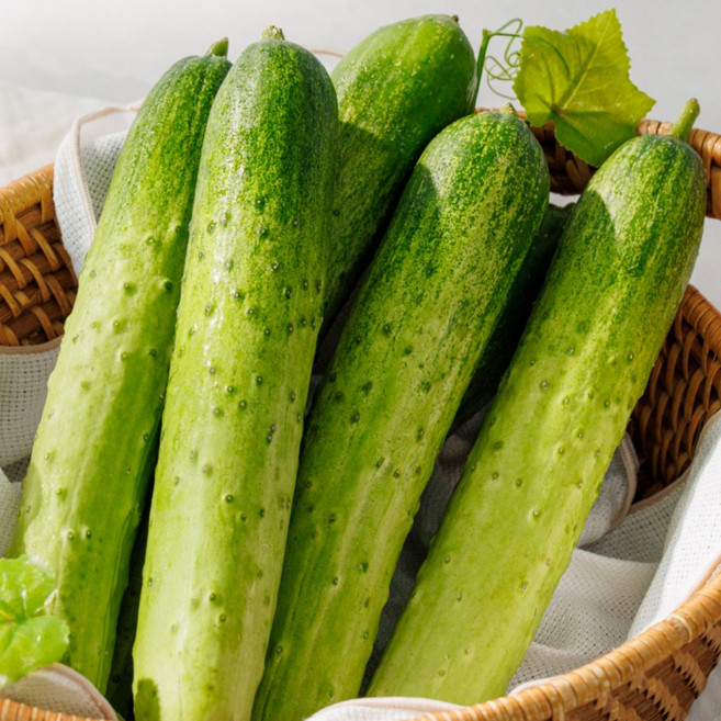 [재구매율1위] 더좋은 국내산 오이 백다다기오이, 1개, 1kg