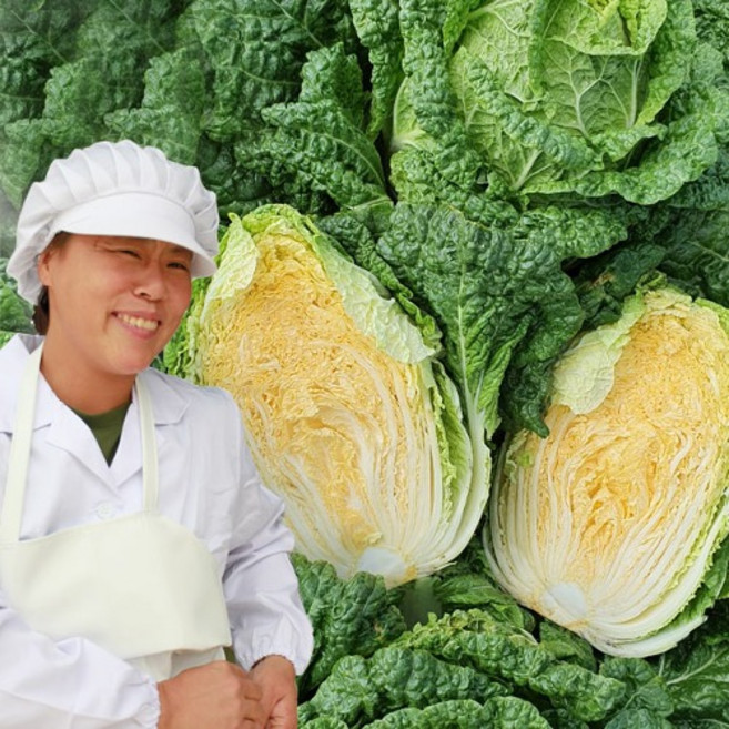 해남 절임배추 (7-10포기) 해남황토배추 / 문의전화 고객센터(010-5015-5716), 2-3일소요, 1박스, 20kg