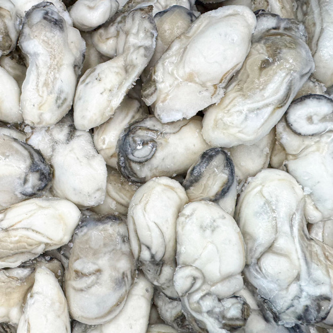 (개별급속동결)통수산 한알한알 얼린 통영 생굴 (대)/수출보내는 까다로운 공정과정, 1개, 한알한알씩얼린통영생굴1kg(대)