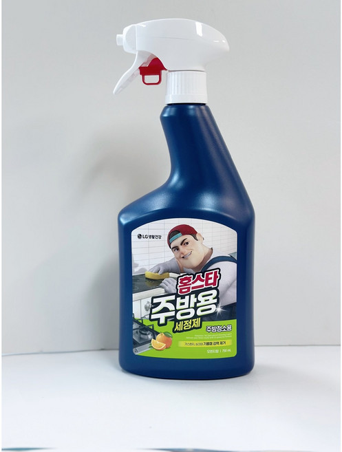 홈스타 주방용 세정제, 2개, 750ml