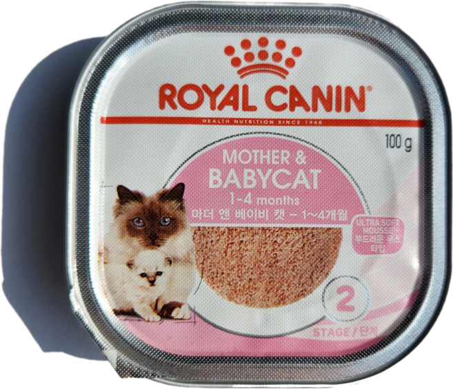 로얄캐닌 캣 마더앤베이비 울트라 소프트 무스 캔 습식사료, 100g, 1개, 닭