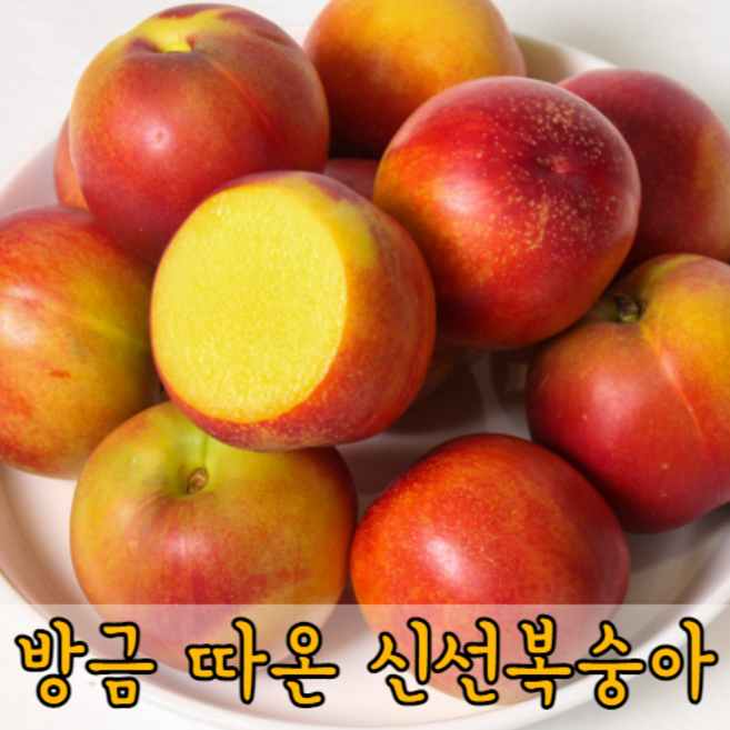 [판매예약1위] 신비 / 신선 / 천도 복숭아 당일수확발송 2kg, 신선복숭아 1.2kg, 1개