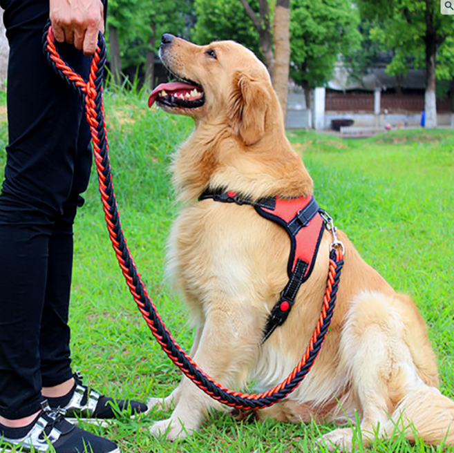 견생견사 소중대형견 하네스 + 리드줄 세트, 레드(세트), 1개