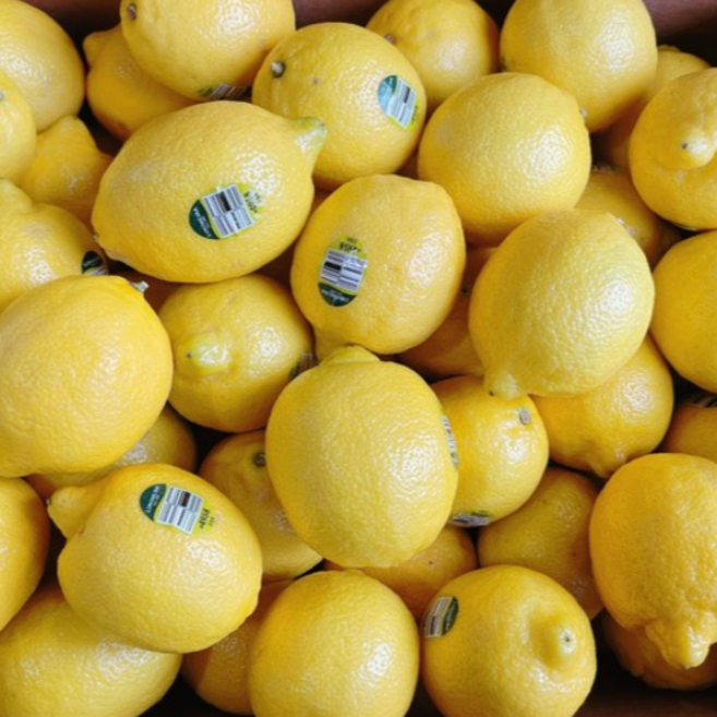 상큼한 레모니아 미국산 칠레산 레몬, 120g 내외, 20개
