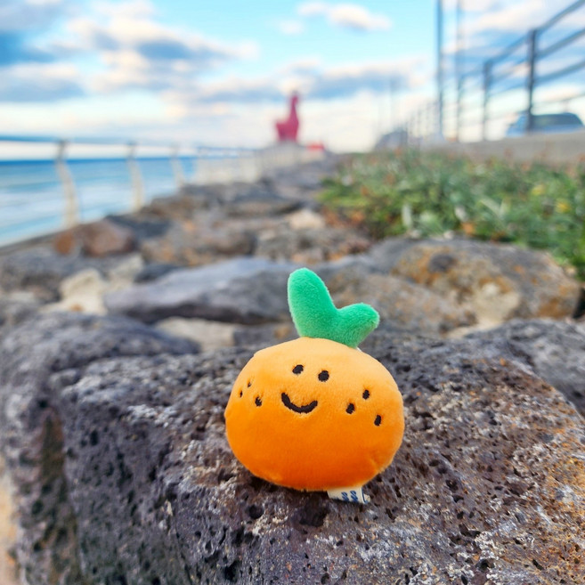 보들보들 말랑말랑 제주 감귤 인형 키링