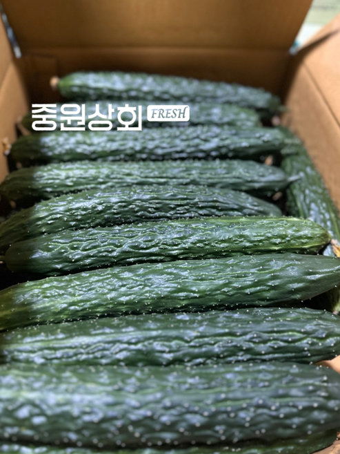 오이 가시오이 10kg 못난이 청오이 업소용 밀면 냉면용 당일경매, 국내산 못난이 가시오이 10kg 내외, 1개