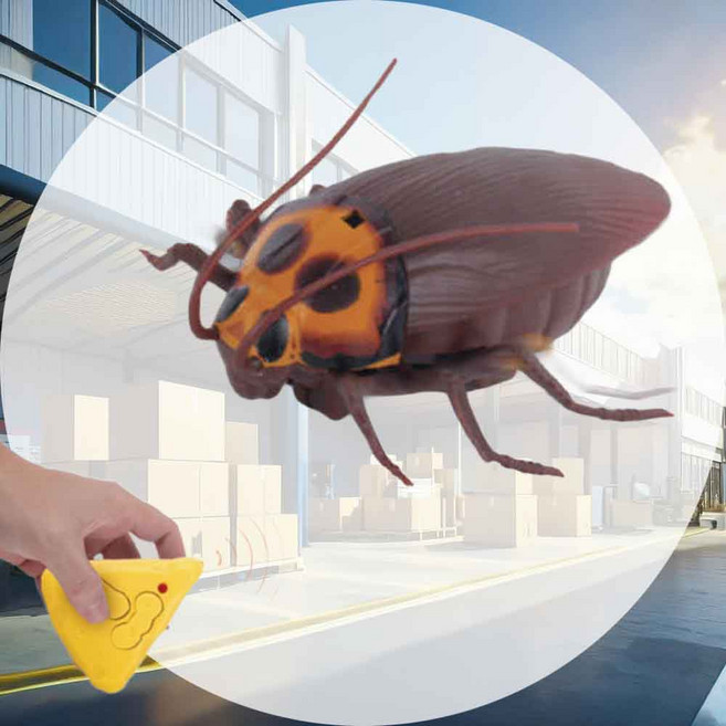 펫 로취 무선조정 장난감 반려동물 실내놀이 로보트 바퀴벌레 남아생일선물 펫토이