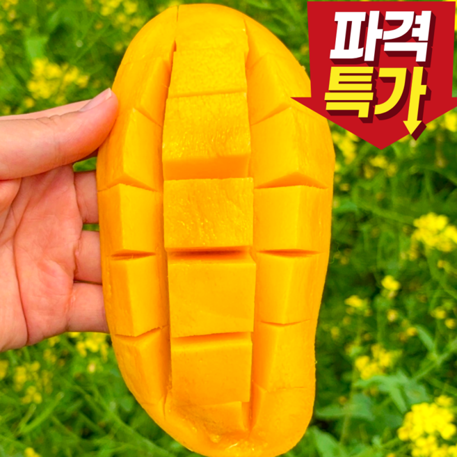 [리뉴얼특가] 고당도 태국 마하차녹 무지개망고, 1박스, 4kg