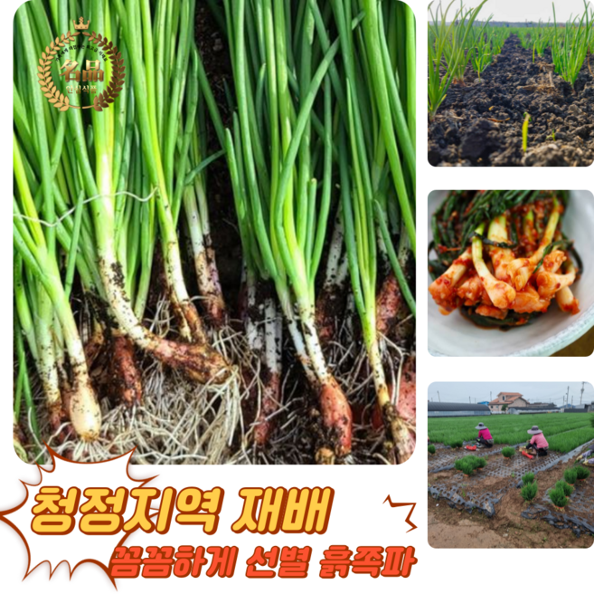 [굿피플] 흙쪽파 쪽파 파 흑파 깐쪽파 실파 잔파, 1개, 1kg