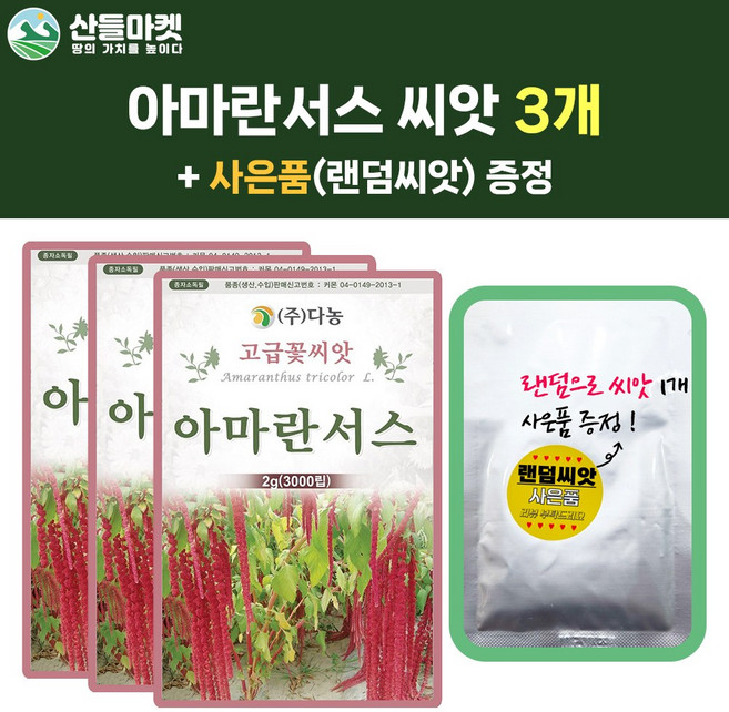 산들마켓 아마란서스 씨앗 2g 아마란스 꽃씨 곡물 종자 3개+랜덤씨앗1개 증정, 1개