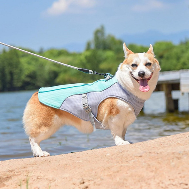 레드퍼피 쿨 아이스 조끼, 1개, 블루