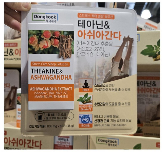 동국제약 테아닌&아쉬아간다 48g, 3개, 60정