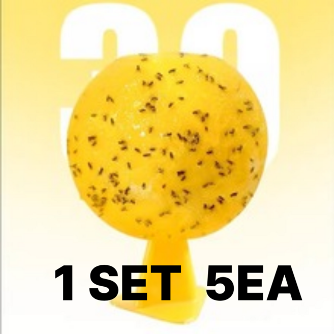 윈터블락 초강력 초파리 트랩 끈끈이 날파리, 1개, 5개입