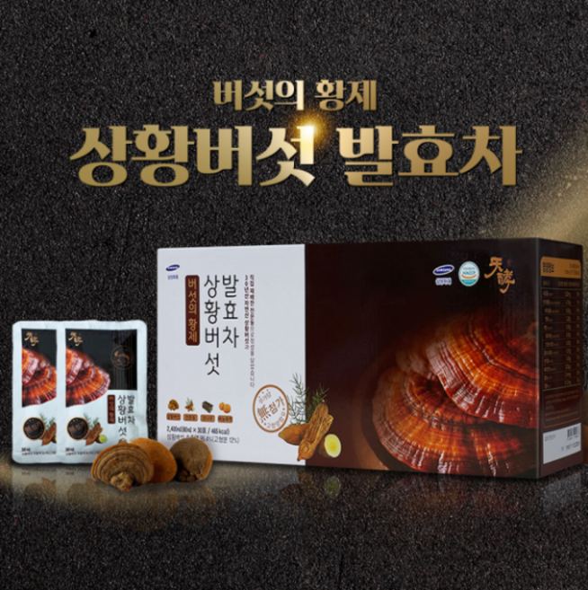 천효 저온고압추출 천문동먹은 상황버섯발효차, 4박스, 2.4L