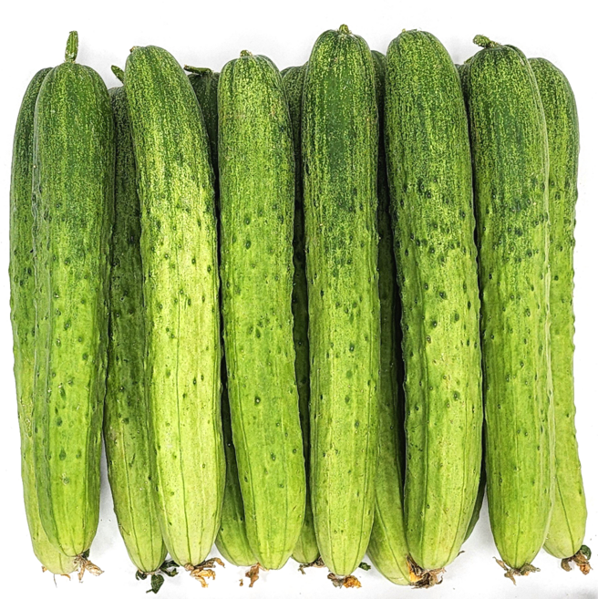 특품 국내산 오이 초특가, 1개, 5kg 백다다기 오이 백오이