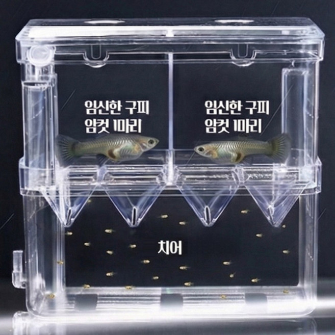 아이레노 구피 열대어 부화통 분리형 구조 치어 보호 산란 관리용 어항용품, 투명, 1세트
