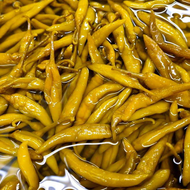 염장 고추지 1kg 정말 맛있는 절임고추 고추무침 동치미 고추장아찌