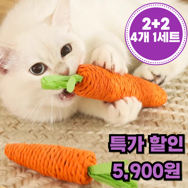 캐츠퍼피 고양이 이갈이 장난감 2+2, 1세트, 당근색상