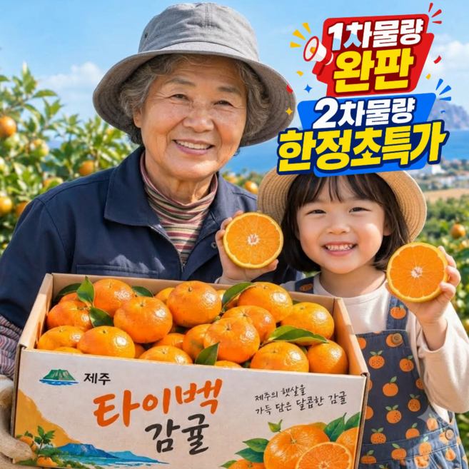 [예약판매한정특가] 제주직송 고당도 타이벡 감귤, 1박스, 5kg