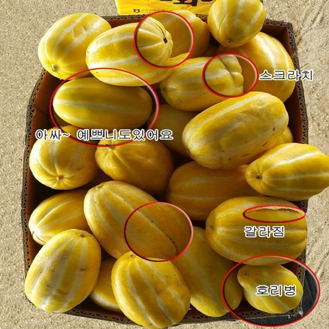 진짜 성주 꿀 참외 못난이혼합과 11kg(실중량10kg), 1박스, 10kg 대과, 진짜 성주 꿀 참외 못난이