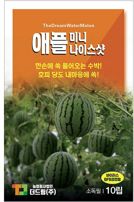 수박씨앗 애플미니나이스샷 애플수박 고당도 베란다재배 10립, 1개
