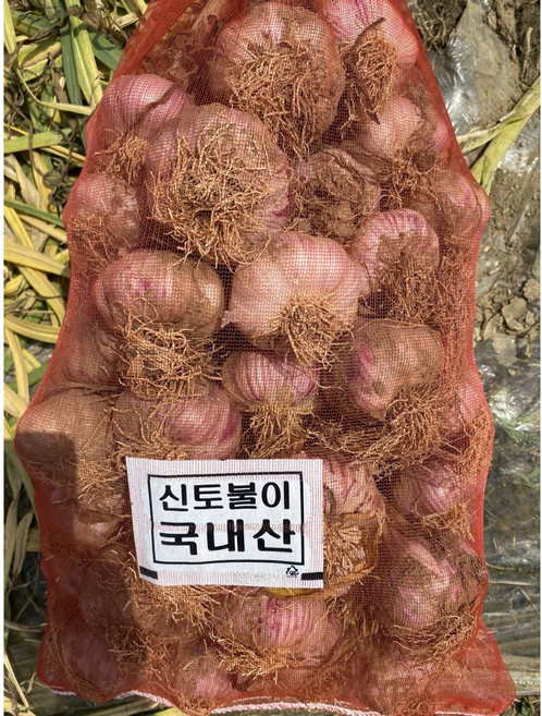 [특가] 국내산 고흥 햇마늘 알마늘 통마늘 특품 산지직송, 1개, 고흥 햇마늘 10kg