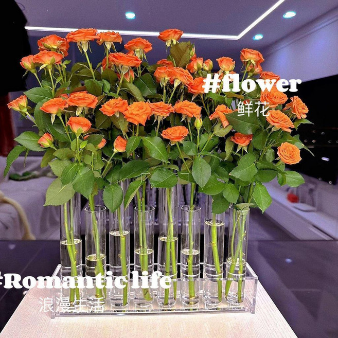 網紅試管花架 實驗試管花瓶 玻璃花瓶 擺件組合花瓶 (不含花), 網紅花架