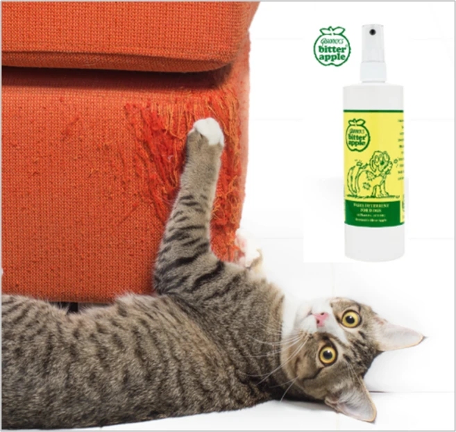 그래닉스비터애플 반려동물 훈련용 행동 교정 스프레이 236ml, 혼합색상, 1개 - 쿠팡