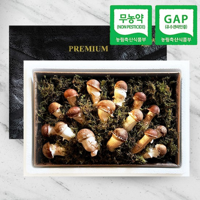 [웰굿]무농약GAP 참송이버섯 선물세트 명품1호(300g부직포가방), 없음