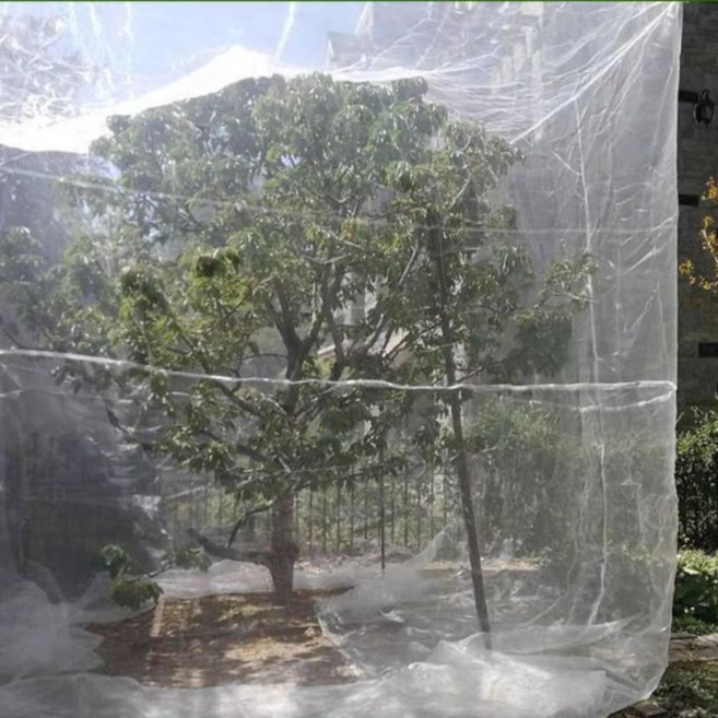 블루베리망 2x2x2m 새 그물 과수원 농작물보호 비닐하우스 온실 2.5x2.5x2.5모기장모양, C. 2x2(포켓형상)