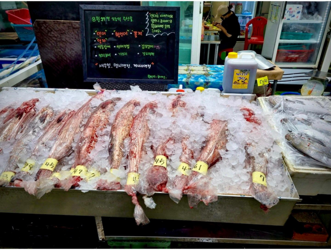 신안 임자도 자연산 민어(2~7kg), 1마리, 3kg필렛(분리)